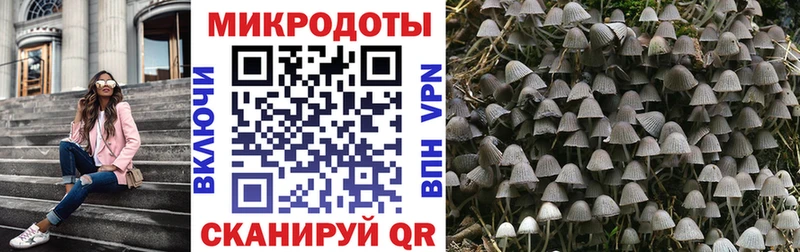 Галлюциногенные грибы ЛСД Купить Калининград